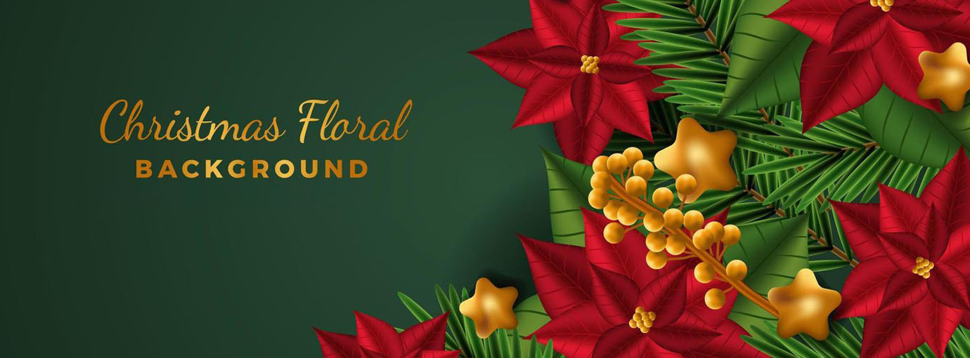 Fashion Swimwear Store -Fashion Swimwear Store 120